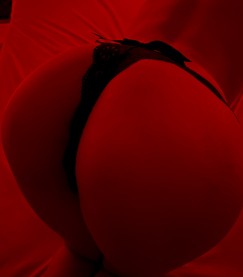  ,  Flamingo