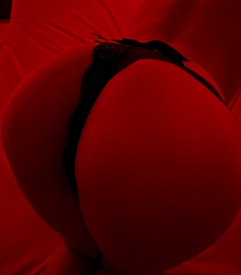  ,  Flamingo